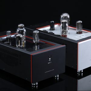 MPA V Mono Power Amplifier Monoblocks