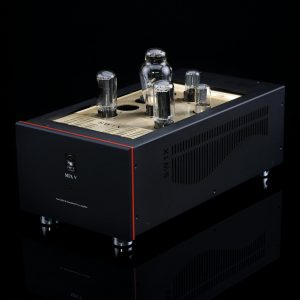 SW1X MPA V Hercules Tube Valve Mono Power Amplifier Monoblock