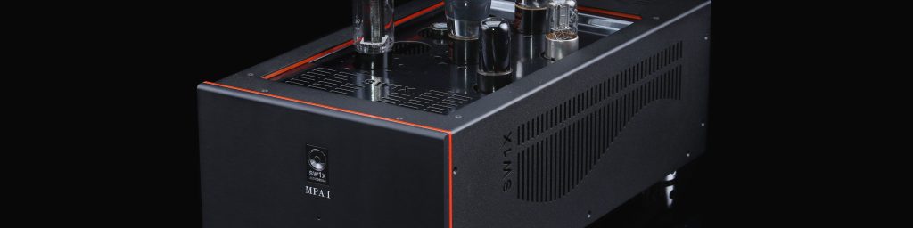 SW1X MPA I Neptune Push Pull Mono Power Amplifier Monoblock