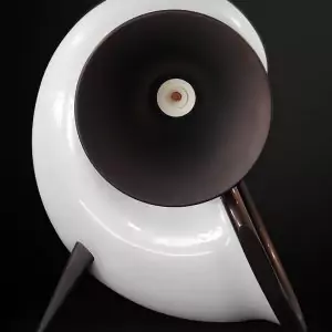 Lady Pearl Horn Loudspeaker Front View